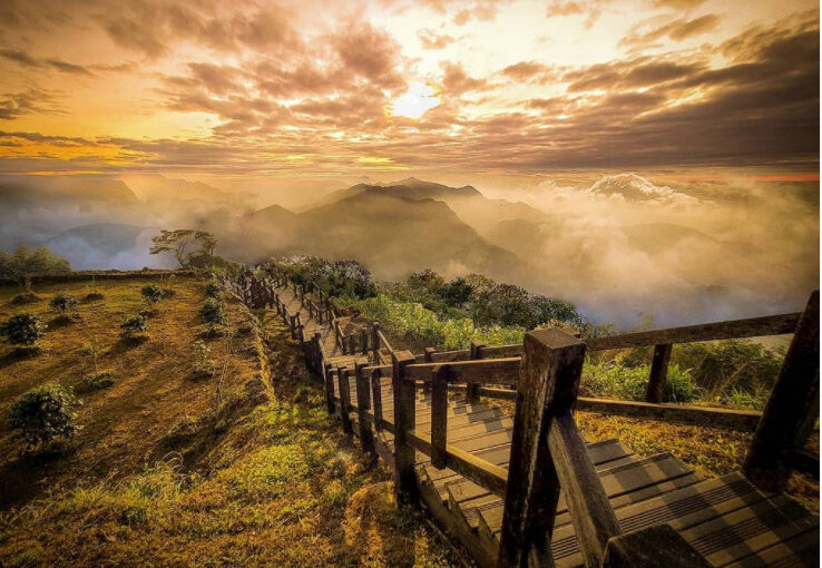 二延平步道 嘉義阿里山 雲海 夕陽 高山茶園 路線攻略 打卡景點