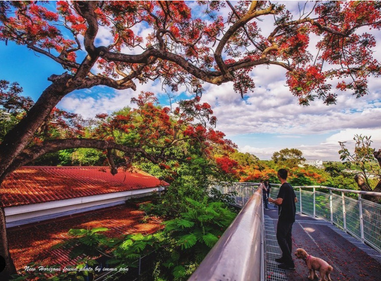 全台天空步道