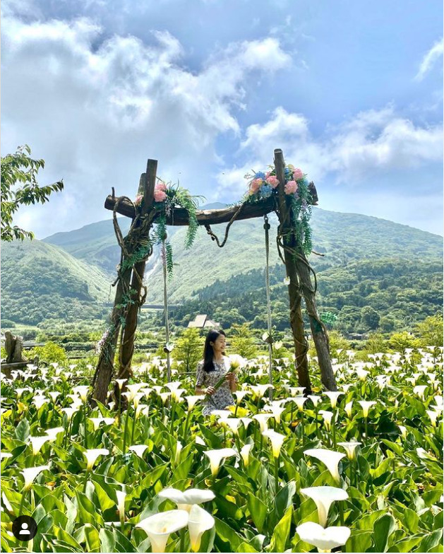 台灣花季攻略