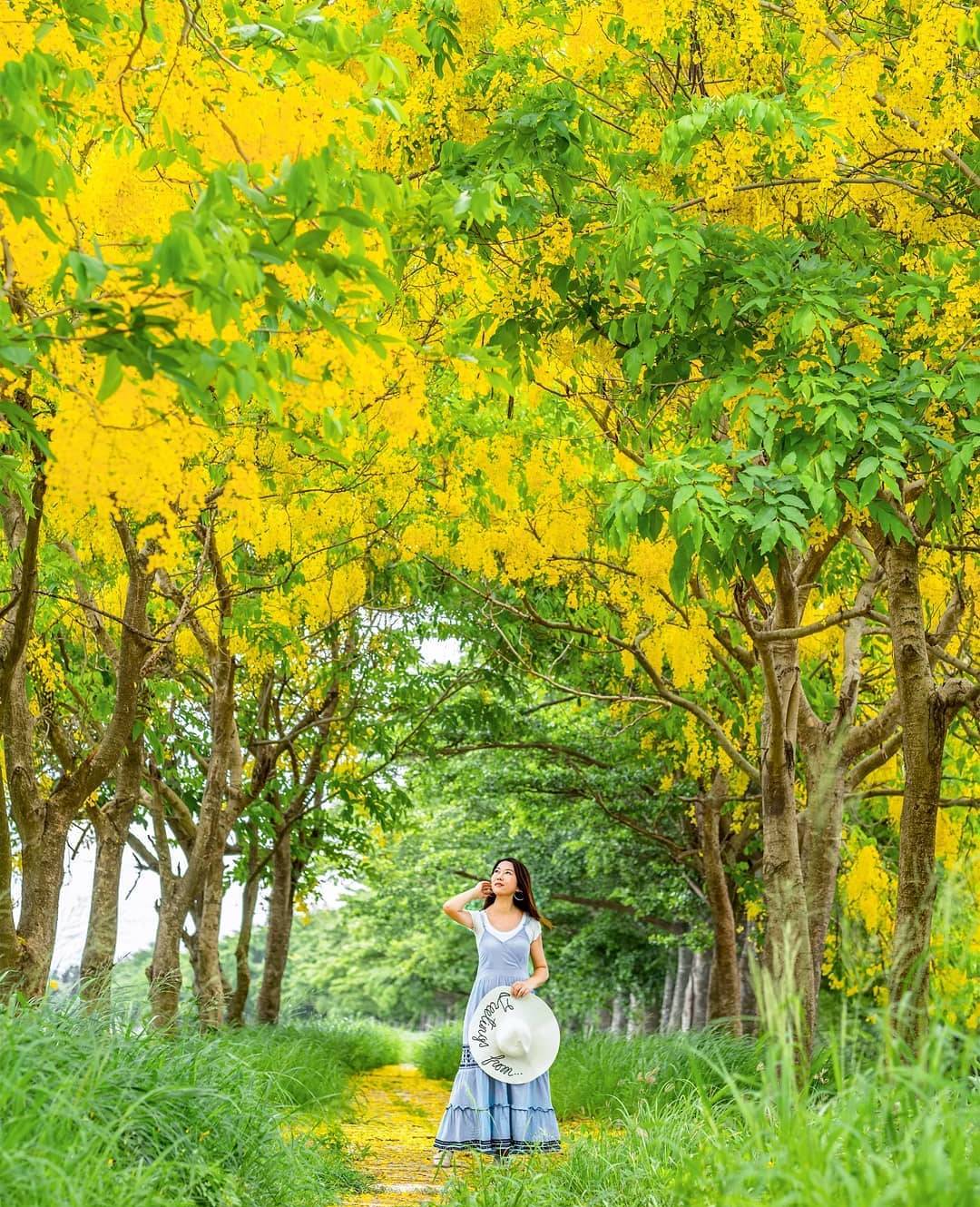 台灣花季攻略 四季賞花景點 全台花季活動總整理 輕旅行