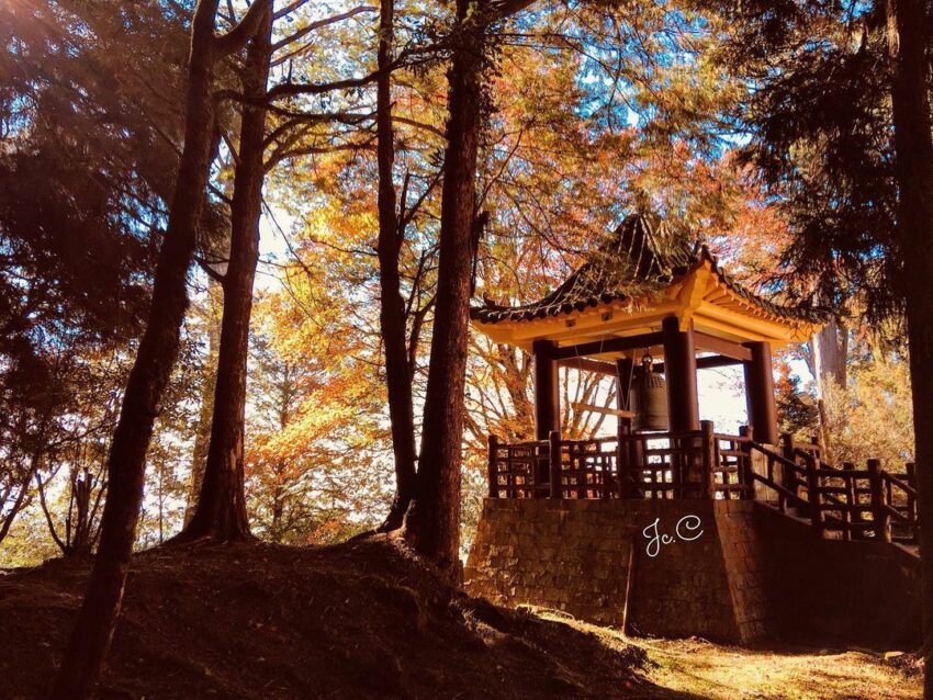 阿里山國家風景區