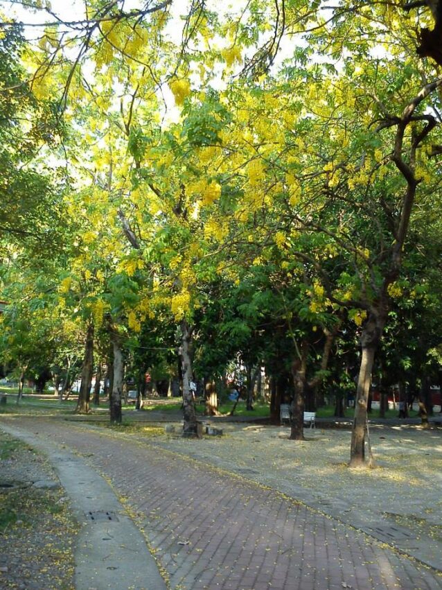 潮州景點 中山公園