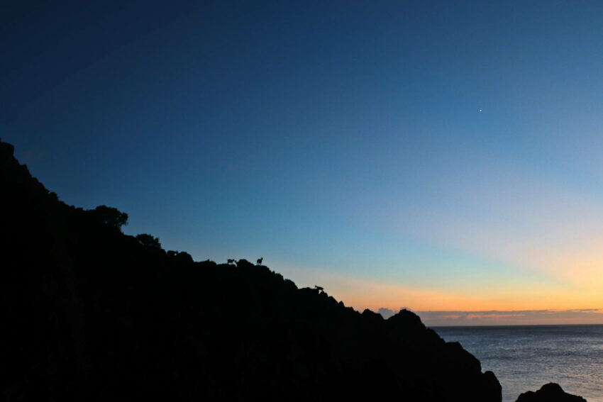 虎頭坡夕陽