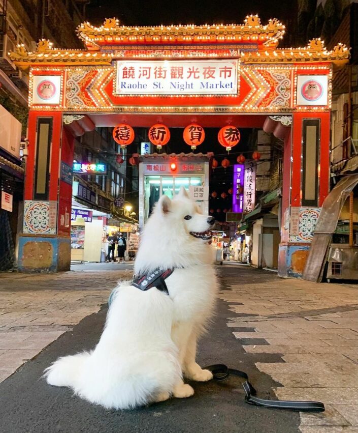 台北景點｜松山區一日遊 饒河夜市