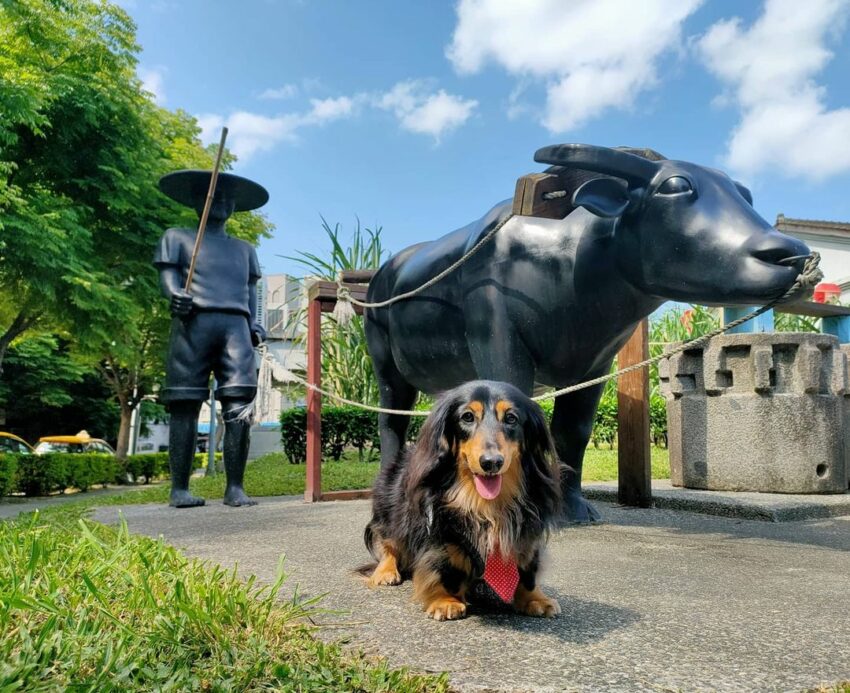 萬華景點｜糖廍文化園區 萬華 艋舺 萬華一日遊 艋舺一日遊 2021