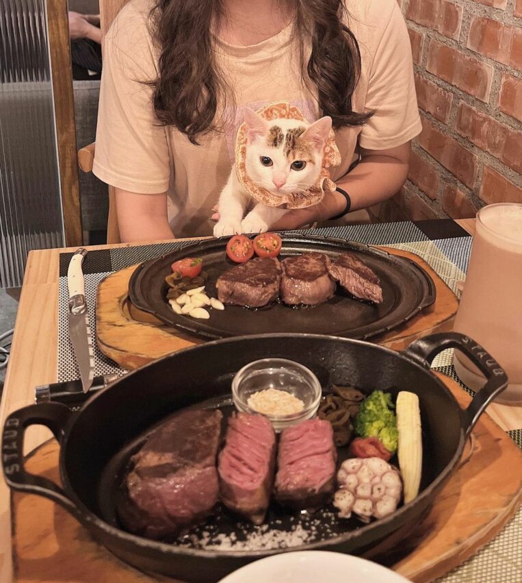 花蓮文創園區｜肉肉餐桌 牛排 花蓮牛排 寵物餐廳 寵物友善餐廳 民國路美食 花蓮文創 花創 文創園區 文青景點 花蓮景點 2021