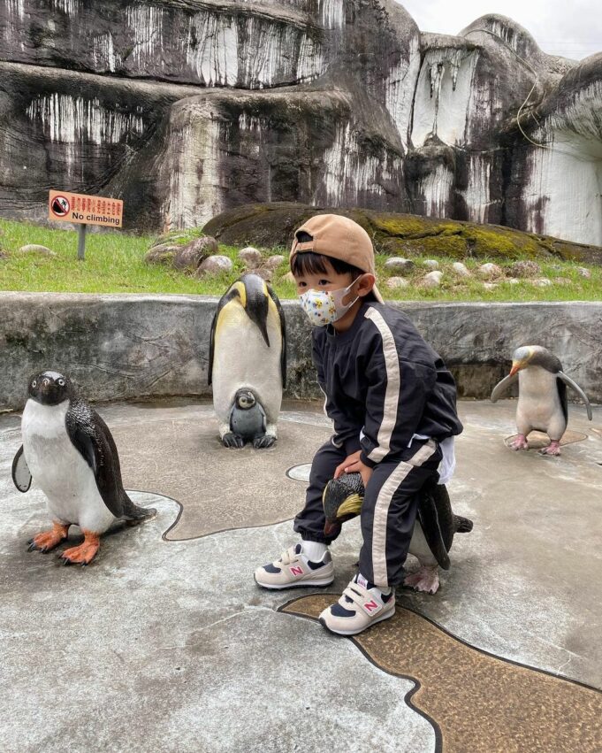 台北親子景點｜台北市立動物園 木柵動物園 台北動物園