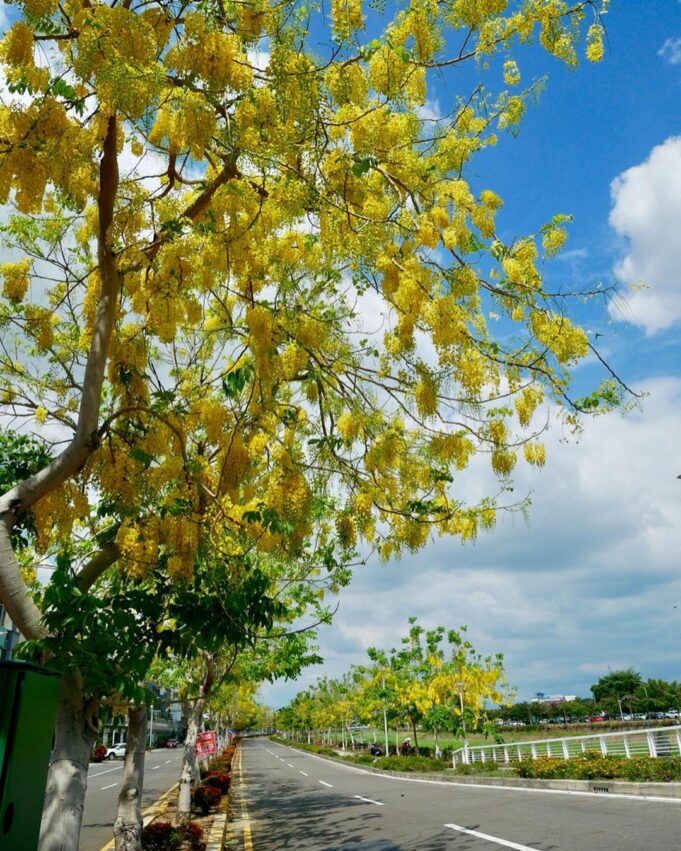 岡山景點 阿公店溪