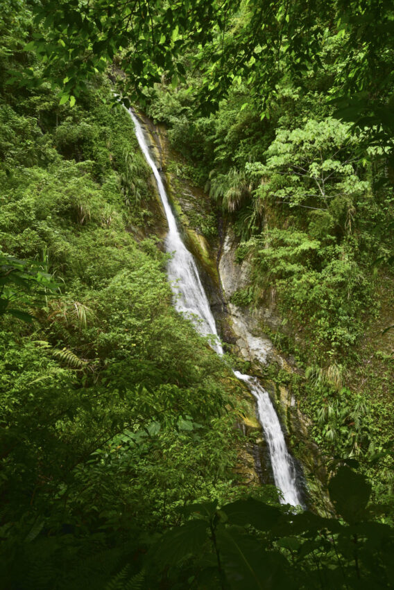 樹湖瀑布 荖山瀑布 櫻花步道 壽豐景點 壽豐美食 花蓮壽豐景點