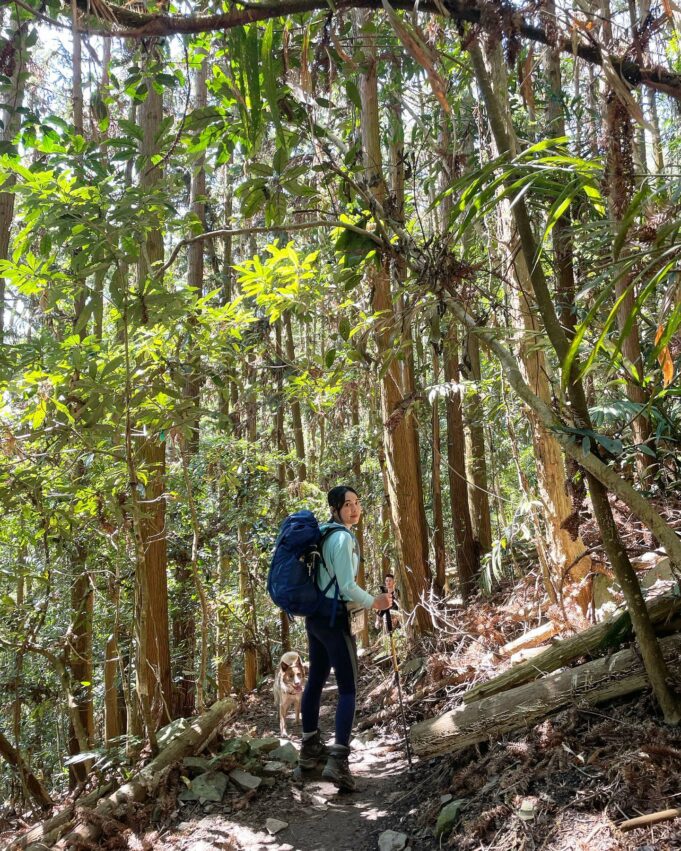 台北市郊山,台北郊山,台北爬山,台北登山步道,天母爬山,七星山冷水坑登山口,台北爬山秘境,台北登山,台北爬山推薦,北投軍艦岩,台北市爬山,台北的山,台北親山步道,台北市登山步道,台北健行步道,台北觀音山,天母古道登山口,台北爬山難度,爬山台北,台北爬山入門,台北爬山新手,登山步道台北,台北爬山捷運,北投爬山秘境,臺北爬山,冷水坑登山口,台北登山步道推薦,台北爬山步道,台北市親山步道,台北爬山景點,台北虎山步道,台北大縱走第四段難度,台北爬山一日遊,天母古道親山步道難度,台北郊山步道,台北捷運爬山,台北好爬的山,台北郊山推薦,信義區爬山,天母登山步道,台北登山推薦,北投親山步道,台北大縱走第二段新手,台北大縱走第五段難度,天母古道來回,爬山景點台北,台北親子爬山,台北市健行步道,台北新手爬山,台北健行活動,臺北山,親子登山步道台北,台北登山群組,台北近郊登山步道,台北簡單的山,台北爬山地點,新手爬山台北,台北下雨爬山,親山步道台北,