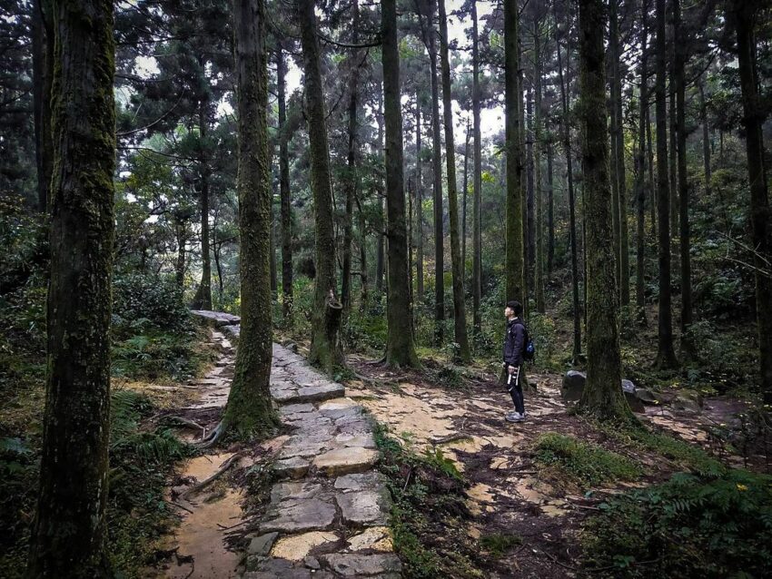 風櫃嘴頂山石梯坪擎天崗