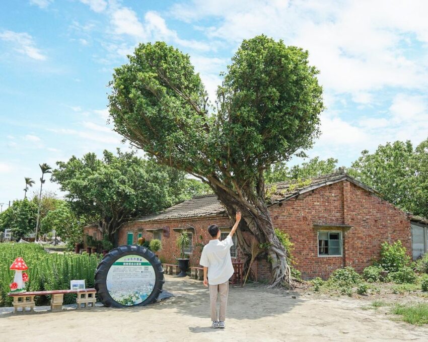 四湖長春園芸孤挺花園