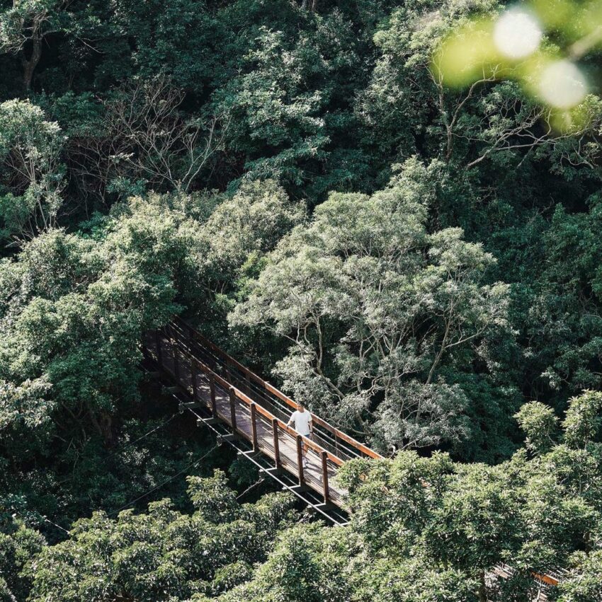 雙流國家森林遊樂區 沿山步道