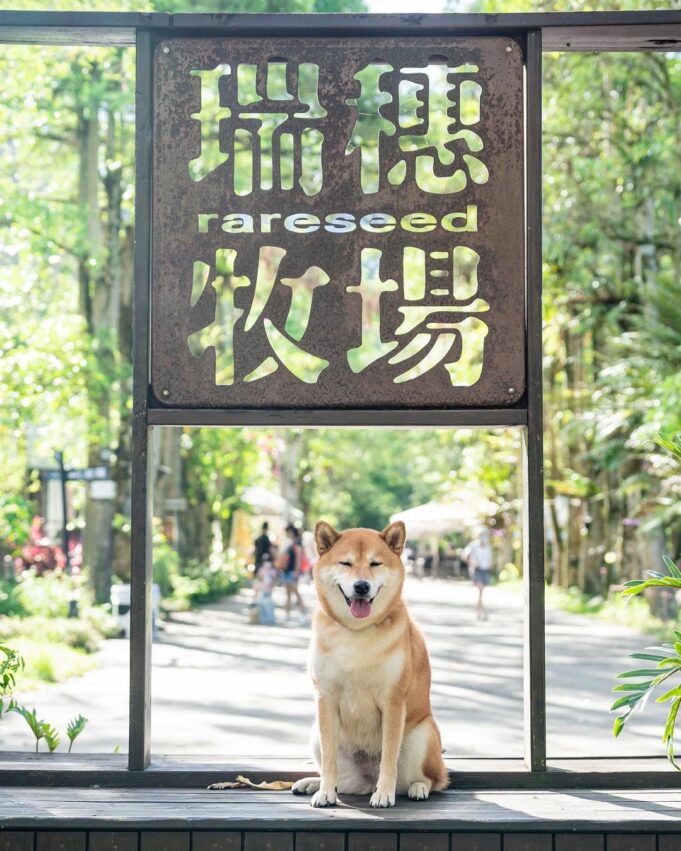 瑞穗牧場 瑞穗景點, 瑞穗美食, 瑞穗伴手禮, 瑞穗溫泉, 瑞穗住宿