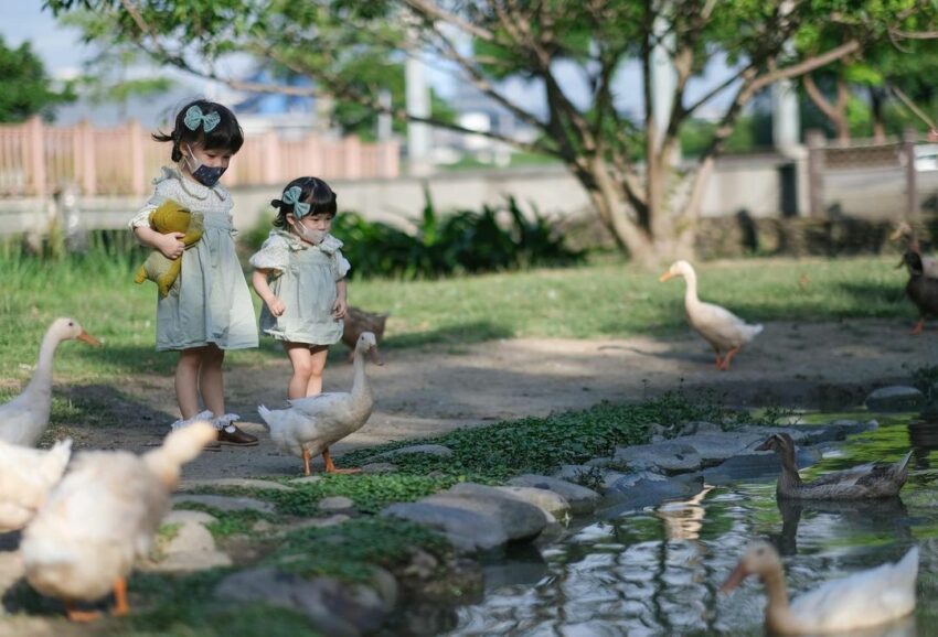 新竹戶外景點 水圳森林公園