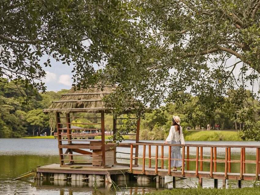 桃園戶外景點 三坑自然生態公園,桃園戶外景點,桃園景點戶外, 中壢戶外景點, 桃園親子戶外景點, 桃園戶外親子景點, 桃園戶外景點2023, 桃園室外景點, 桃園親子戶外, 桃園戶外親子, 蘆竹戶外景點, 桃園戶外景點推薦, 桃園親子餐廳戶外, 戶外景點桃園, 桃園戶外景點親子, 桃園戶外走走, 桃園親子景點戶外, 桃園戶外踏青, 桃園戶外玩水, 桃園戶外一日遊, 桃園戶外好去處,