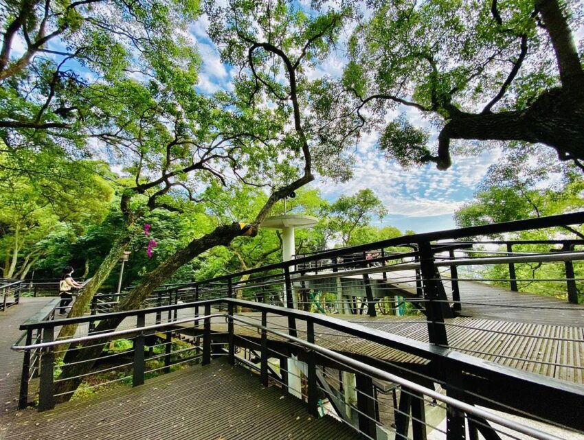 虎頭山公園步道