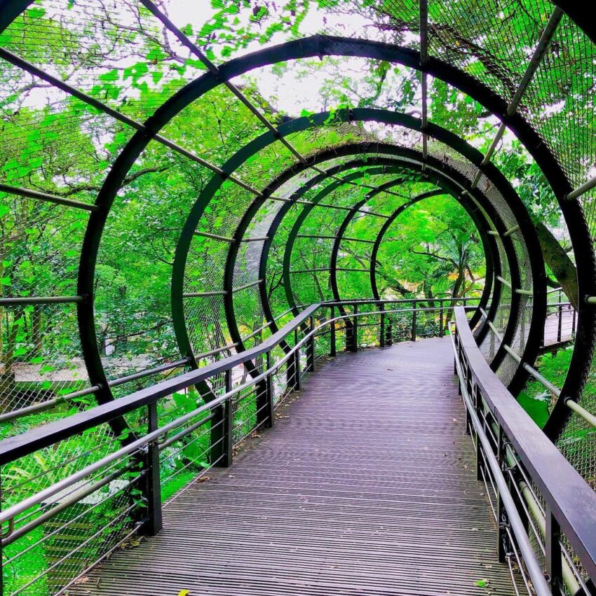 虎頭山公園步道