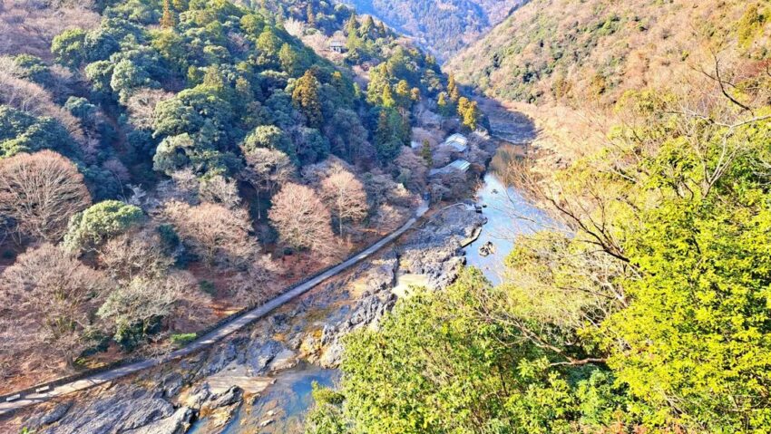 嵐山一日遊,嵐山,嵐山一日遊,京都嵐山,嵐山怎麼玩,日本嵐山,嵐山路線,,嵐山地圖,嵐山景點,嵐山必吃,京都到嵐山交通,大阪到嵐山交通,嵐山溫泉,嵐山和服,JR嵯峨野線,JR馬堀站,嵐山小火車,嵐山小火車龜岡站,龜岡站,嵯峨站,嵐山竹林,阪急電鐵,京福電氣鐵道,大河内山荘,常寂光寺,嵯峨野竹林小徑,嵐山公園展望台,祐齋亭,天龍寺,野宮神社,嵐山大街,嵐山渡月橋,嵐山猴子公園,渡月橋,如何抵達京都嵐山,京都到嵐山,京都車站到嵐山,四条烏丸到嵐山,四条河原町到嵐山,大阪到嵐山交通方式,難波到嵐山,闌珊,經都蘭山,藍山,奈良到嵐山,嵐山一日遊路線,嵐山半日遊路線,嵐山多日遊路線,梨花和服嵐山店,京嵐和服,遊月和服,京都前撮り美翔苑,京都嵐山大街必吃,,京豆庵,豆腐霜淇淋,% ARABICA,咖啡店,嵐山よしむら,蕎麥麵,中村屋総本店,可樂餅,eX café-烤糰子,竹炭抹茶捲,嵐山辨慶,Ryotei Rangetsu,嵐月,京阪神奈京阪奈,阪急嵐山站,關西周遊卡,JR嵯峨嵐山站,保津峽,保津峽遊艇,保津川,保津川遊艇,嵐山楓葉,嵐山和服,嵐山櫻花