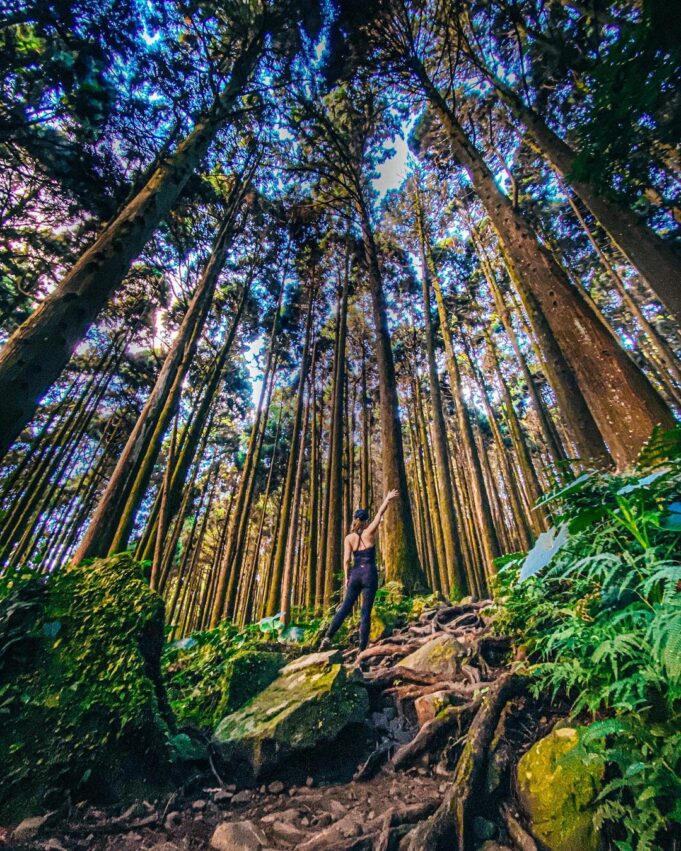 加里山步道,南庄景點,苗栗南庄景點, 南庄一日遊, 南庄老街附近景點, 南庄私房景點, 南庄景點地圖, 南庄景點美食, 南庄親子景點, 南庄附近景點, 苗栗南庄景點地圖, 南庄景點推薦, 苗栗南庄二日遊, 泰安南庄景點, 南庄秘境景點, 南庄落羽松莊園, 南庄老街景點, 南庄好玩, 苗栗南庄一日遊, 南庄老街一日遊, 南庄一日遊行程, 南庄二日遊, 南庄兩天一夜, 苗栗南庄室內景點, 苗栗南庄附近景點, 苗栗景點南庄, 南庄旅遊景點, 南庄景点, 南庄好玩的地方, 南庄螢火蟲景點, 南庄行程, 南庄旅遊地圖, 南庄風景區, 南庄景點2023, 南庄推薦景點, 南庄老街攻略, 南庄一日, 南庄台灣好行一日遊, 南庄2日遊, 新竹南庄景點, 苗栗南庄親子景點, 南庄景點一日遊, 苗栗景點南庄老街, 苗栗南庄兩天一夜, 南庄景點向天湖, 南庄賞櫻景點, 苗栗南庄老街交通, 南庄半日遊, 南庄兩日遊, 南庄老街附近, 苗栗南庄好玩, 南庄旅遊規劃, 南庄附近的景點, 苗栗南庄旅遊景點, 南庄苗栗景點, 南庄一日遊路線, 苗栗一日遊南庄, 南庄一日遊推薦, 苗栗縣南庄景點, 南庄遊,