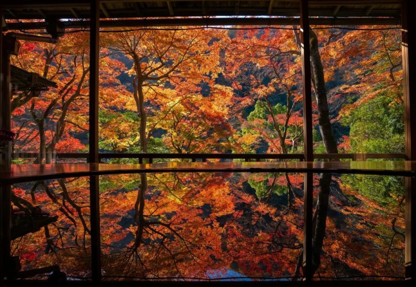 嵐山一日遊,嵐山,嵐山一日遊,京都嵐山,嵐山怎麼玩,日本嵐山,嵐山路線,,嵐山地圖,嵐山景點,嵐山必吃,京都到嵐山交通,大阪到嵐山交通,嵐山溫泉,嵐山和服,JR嵯峨野線,JR馬堀站,嵐山小火車,嵐山小火車龜岡站,龜岡站,嵯峨站,嵐山竹林,阪急電鐵,京福電氣鐵道,大河内山荘,常寂光寺,嵯峨野竹林小徑,嵐山公園展望台,祐齋亭,天龍寺,野宮神社,嵐山大街,嵐山渡月橋,嵐山猴子公園,渡月橋,如何抵達京都嵐山,京都到嵐山,京都車站到嵐山,四条烏丸到嵐山,四条河原町到嵐山,大阪到嵐山交通方式,難波到嵐山,闌珊,經都蘭山,藍山,奈良到嵐山,嵐山一日遊路線,嵐山半日遊路線,嵐山多日遊路線,梨花和服嵐山店,京嵐和服,遊月和服,京都前撮り美翔苑,京都嵐山大街必吃,,京豆庵,豆腐霜淇淋,% ARABICA,咖啡店,嵐山よしむら,蕎麥麵,中村屋総本店,可樂餅,eX café-烤糰子,竹炭抹茶捲,嵐山辨慶,Ryotei Rangetsu,嵐月,京阪神奈京阪奈,阪急嵐山站,關西周遊卡,JR嵯峨嵐山站,保津峽,保津峽遊艇,保津川,保津川遊艇,嵐山楓葉,嵐山和服,嵐山櫻花