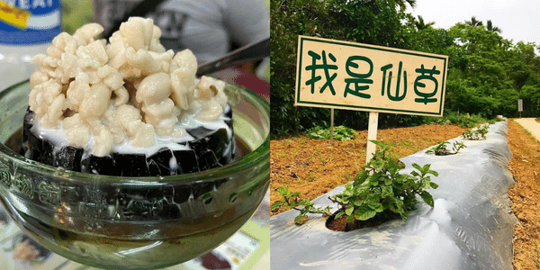 ,新竹景點,新竹, 新竹動物園, 新竹一日遊, 新竹親子景點, 新竹夜景, 新竹市立動物園, 新竹市立动物园, 新竹老街, 新竹室內景點, 新竹景點一日遊, 新竹公園, 新竹綠世界, 新竹秘境, 新竹好玩, 新竹南寮漁港, 新竹步道, 新竹旅遊, 新竹市景點, 新竹動物園門票, 新竹景點2023, 新竹農場, 新竹爬山, 新竹海邊, 新竹山上人家, 新竹親子, 新竹景點室內, 薰衣草森林新竹, 新竹風箏節, 新竹內灣老街, 新竹戶外景點, 新竹昆蟲館, 新竹青青草原, 新竹青草湖, 新竹觀光工廠, 新竹薰衣草森林, 新竹一日遊開車, 新竹樂園, 新竹網美景點, 新竹五指山, 新竹市區景點, 新竹櫻花, 新竹小叮噹, 新竹香山, 新竹火車站附近景點, 新竹市動物園, 新竹好玩的地方, 新竹旅遊景點, 新竹玩水, 新竹六福村, 新竹玻璃工藝博物館, 新竹免費景點, 新竹晚上好去處, 新竹南寮, 新竹眷村博物館, 新竹城隍廟附近景點, 新竹山, 新竹兩天一夜, 新竹登山步道, 新竹遊樂園, 新竹司馬庫斯, 新竹市區, 新竹景點推薦, 新竹逛街, 新竹五峰, 新竹海線景點, 新竹景點親子, 新竹晚上景點, 新竹山上景點, 新竹17公里海岸風景區, 新竹香山濕地, 新竹新景點, 新竹景點地圖, 新竹落羽松, 新竹護城河, 新竹將軍村, 新竹市眷村博物館, 新竹户外景點, 新竹一日遊推薦, 新竹豆腐岩, 新竹博物館, 新竹好去處, 新竹野餐, 新竹景點觀光工廠, 新竹室內, 新竹晚上, 新竹親子農場, 濟生beauty新竹觀光工廠, 新竹騎腳踏車, 新竹十八尖山, 新竹雲夢山丘, 新竹動物園一日遊, 新竹螢火蟲, 新竹腳踏車, 新竹室內景點2023, 新竹玻璃, 新竹玩, 新竹登山, 新竹約會, 新竹一日遊情侶, 新竹滑雪, 新竹好玩的, 新竹寵物景點, 新竹特色, 新竹半日遊, 新竹diy, 新竹自行車道, 新竹二日遊, 新竹水族館, 新竹雨天備案, 新竹古蹟, 新竹玻璃藝術節, 新竹湖口老街, 新竹推薦景點, 新竹觀光景點, 新竹山上, 新竹東區景點, 新竹好玩地方, 新竹室內親子景點, 新竹風景區, 桃園新竹景點, 新竹森林秘境, 新竹觀霧, 青青草原新竹, 新竹麗池公園, 新竹拍照景點, 新竹走春, 新竹火車站景點, 新竹溜滑梯, 新竹賞櫻, 新竹青蛙石, 新竹香客大樓, 新竹霞喀羅櫻花谷, 新竹山區景點, 新竹親子公園, 新竹中級山, 新竹動物園附近景點, 新竹南寮漁港美食, 新竹公園櫻花, 新竹車站景點, 新竹城隍廟一日遊, 新竹好玩景點, 新竹觀光, 新竹踏青, 寶山景點, 新竹賞蟹步道, 新竹市內景點, 新竹六號花園, 動物園新竹, 新竹東門城, 新竹沙灘, 新竹桃園景點, 新竹動物, 景點新竹, 新竹下雨景點, 新竹瀑布, 新竹親子步道, 新竹波光市集, 新竹風箏節2023, 新竹行程, 新竹約會dcard, 新竹玻璃工廠, 新竹小火車, 新竹火車站到六福村, 新竹走走, 新竹步道推薦, 新竹影像博物館, 新竹特色公園, 無車族一日遊新竹, 新竹夜晚好去處, 新竹附近景點, 新竹峨嵋, 新竹飛鳳山, 新竹雨天景點, 新竹櫻花景點, 新竹日出, 新竹風景, 新竹必去, 新竹動物園交通, 新竹推薦, 新竹休閒農場, 新竹古道, 新竹香山景點, 新竹莫內咖啡, 新竹寶山水庫, 新竹森林步道, 新竹烤肉地點, 新竹約會景點, 新竹室內遊樂場, 新竹市內, 新竹客家文化園區, 新竹情侶景點, 新竹步道一日遊, 新竹夜景秘境, 新竹網美景點2023, 新竹景點dcard, 新竹美食景點, 新竹老爺酒店附近景點, 新竹火車站附近景點一日遊, 新竹遊玩, 新竹寵物友善景點, 新竹五峰景點, 新竹老街推薦, 新竹步道親子, 新竹景點美食, 新竹私房景點, 新竹合興車站, 下雨天好去處新竹, 新竹室內景點情侶, 新竹車站附近景點, 新竹寶山景點, 新竹跨年好去處, 新竹晚上約會, 新竹兩日遊, 新竹春節景點, 新竹煙波湖濱館附近景點, 新竹地圖景點, 新竹室內親子, 新竹爬山景點, 新竹室內景點ptt, 新竹三天兩夜, 新竹晚上活動, 新竹北區景點, 新竹一日遊情侶, 新竹城隍廟一日遊, 新竹市一日遊, 新竹市區一日遊, 新竹市景點一日遊, 新竹一日遊機車, 新竹一日遊行程, 新竹一日遊景點推薦, 新竹竹北一日遊, 新竹景點推薦一日遊, 新竹一日遊行程推薦, 新竹好玩一日遊,觀光工廠,室內景點,親子景點,一日遊,DIY手作,台北觀光工廠,新北觀光工廠,桃園觀光工廠,新竹觀光工廠,苗栗觀光工廠,台中觀光工廠,嘉義觀光工廠,彰化觀光工廠,台南觀光工廠,高雄觀光工廠,宜蘭觀光工廠,花蓮觀光工廠,南投觀光工廠,台北室內景點,新北室內景點,桃園室內景點,新竹室內景點,苗栗室內景點,台中室內景點,嘉義室內景點,彰化室內景點,台南室內景點,高雄室內景點,宜蘭室內景點,花蓮室內景點,台北親子景點,新北親子景點,桃園親子景點,新竹親子景點,苗栗親子景點,台中親子景點,嘉義親子景點,彰化親子景點,台南親子景點,高雄親子景點,宜蘭親子景點,花蓮親子景點,南投親子景點,台北一日遊,新北一日遊,桃園一日遊,新竹一日遊,苗栗一日遊,台中一日遊,嘉義一日遊,彰化一日遊,台南一日遊,高雄一日遊,宜蘭一日遊,花蓮一日遊,南投一日遊,台北DIY手作,新北DIY手作,桃園DIY手作,新竹DIY手作,苗栗DIY手作,台中DIY手作,彰化DIY手作,南投DIY手作,台南DIY手作,高雄DIY手作,宜蘭DIY手作,花蓮DIY手作