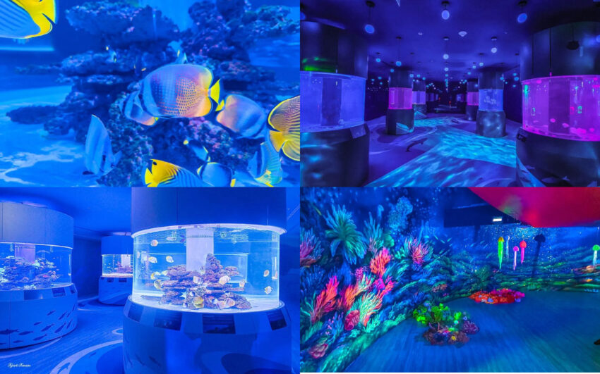 水族館 台灣水族館攻略｜彙集全台 8座水族館你都去過嗎？從北到南、從東到離島，全民一起瘋水族館！ 1 2023