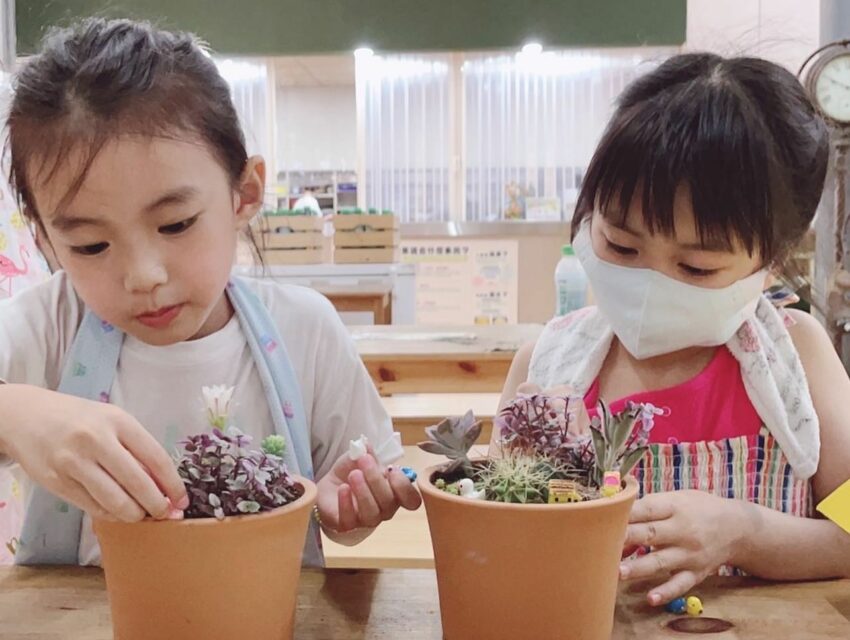 新竹景點新埔福祥仙人掌