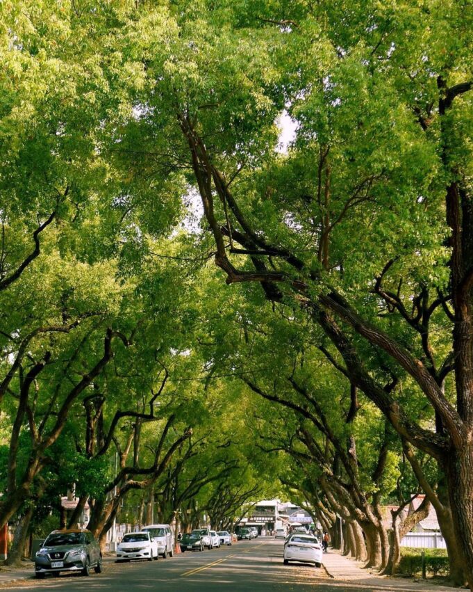 桃園住宿 微笑天梯眺望市區美景、松柏嶺感受茶香，沿著八卦山休閒軸玩南投！ 21 2023