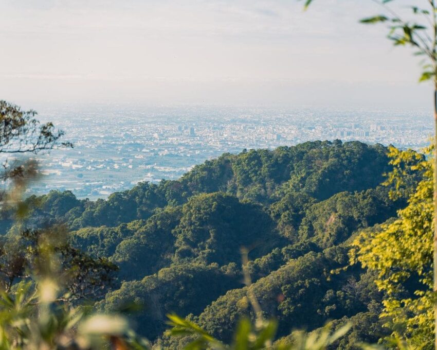 桃園住宿 微笑天梯眺望市區美景、松柏嶺感受茶香，沿著八卦山休閒軸玩南投！ 11 2023