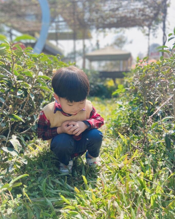 桃園住宿 微笑天梯眺望市區美景、松柏嶺感受茶香，沿著八卦山休閒軸玩南投！ 14 2023