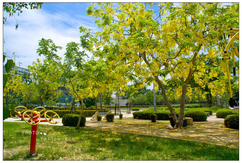 台南阿勃勒 檨仔林公園,阿勃勒,阿勃勒花期, 阿勃勒花, 台南阿勃勒, 豬腸豆, 阿勃勒花季, 阿勒勃, 阿勃勒種子, 阿ㄅㄛˊ勒, 黃花風鈴木阿勃勒, 阿勃勒樹, 阿勃勒功效, 台南阿勃勒花季2023, 阿勃勒台南, 阿勃勒黃花風鈴木, 阿勃勒葉子, 阿勃勒豆莢, 台湾赤楠, 阿勃勒景點, 台南阿勃勒景點, 阿勃勒風鈴木差別, 阿勃勒花期多久, 阿勃勒用途, 阿勃勒開花, 黃金阿勃勒, 台南阿勃勒花季, 虎頭埤阿勃勒花季, 黃金雨樹, 阿勃勒花海, 勃勒, 阿勃勒台南2023, 阿勃勒2023, 阿勃勒風鈴木, 阿勃勒開花季節, 臘腸樹阿勃勒, 北部阿勃勒, 阿勃勒花季2023, 阿勃勒黃金雨, 阿ㄅㄛˊ勒種子, 阿勃勒的花, 黃花風鈴木阿勃勒差異, 阿勃勒萃取物功效, 阿勃勒黃花風鈴木差別, 風鈴木阿勃勒, 黃金阿勃勒花道, 阿勃勒果莢, 阿勃勒果實裝飾, 黃金雨花, 阿勃勒黃花風鈴木差異, 2023阿勃勒花期, 阿勃勒的種子, 黃金風鈴木阿勃勒, 阿脖, 阿勃勒壽命, 阿勃勒賞花, 植物阿勃勒, 阿羅勒花, 黃花風鈴木阿勃勒差別, 阿勃勒樹葉, 阿勃勒皂,