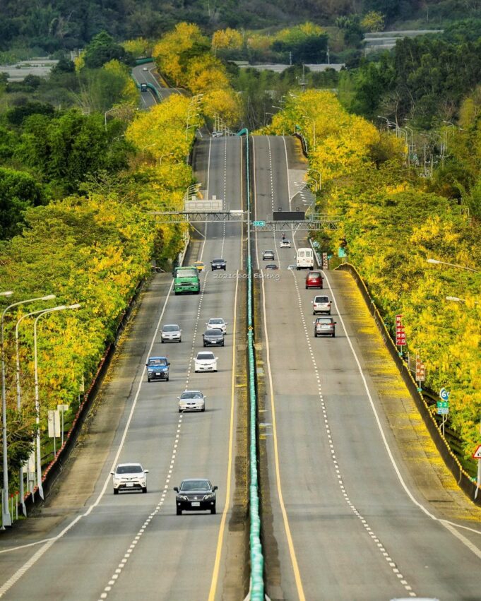 台南阿勃勒 84快速道路,阿勃勒,阿勃勒花期, 阿勃勒花, 台南阿勃勒, 豬腸豆, 阿勃勒花季, 阿勒勃, 阿勃勒種子, 阿ㄅㄛˊ勒, 黃花風鈴木阿勃勒, 阿勃勒樹, 阿勃勒功效, 台南阿勃勒花季2023, 阿勃勒台南, 阿勃勒黃花風鈴木, 阿勃勒葉子, 阿勃勒豆莢, 台湾赤楠, 阿勃勒景點, 台南阿勃勒景點, 阿勃勒風鈴木差別, 阿勃勒花期多久, 阿勃勒用途, 阿勃勒開花, 黃金阿勃勒, 台南阿勃勒花季, 虎頭埤阿勃勒花季, 黃金雨樹, 阿勃勒花海, 勃勒, 阿勃勒台南2023, 阿勃勒2023, 阿勃勒風鈴木, 阿勃勒開花季節, 臘腸樹阿勃勒, 北部阿勃勒, 阿勃勒花季2023, 阿勃勒黃金雨, 阿ㄅㄛˊ勒種子, 阿勃勒的花, 黃花風鈴木阿勃勒差異, 阿勃勒萃取物功效, 阿勃勒黃花風鈴木差別, 風鈴木阿勃勒, 黃金阿勃勒花道, 阿勃勒果莢, 阿勃勒果實裝飾, 黃金雨花, 阿勃勒黃花風鈴木差異, 2023阿勃勒花期, 阿勃勒的種子, 黃金風鈴木阿勃勒, 阿脖, 阿勃勒壽命, 阿勃勒賞花, 植物阿勃勒, 阿羅勒花, 黃花風鈴木阿勃勒差別, 阿勃勒樹葉, 阿勃勒皂,