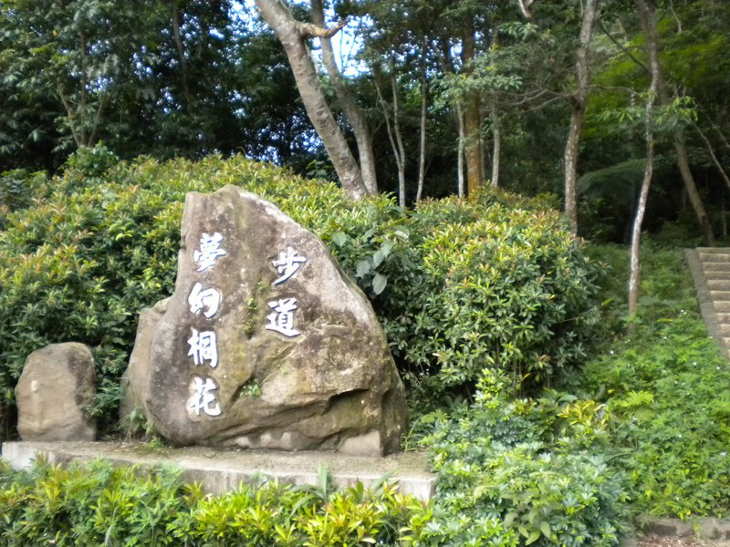 苗栗油桐花 夢幻桐花步道,油桐花,油桐花季,全台油桐花,油桐花景點,北部油桐花,中部油桐花,苗栗油桐花,南部油桐花,東部油桐花,台北油桐花,桃園油桐花,新竹油桐花,南投油桐花,嘉義油桐花,台中油桐花,彰化油桐花,雲林油桐花,台南油桐花,台東油桐花,花蓮油桐花,宜蘭油桐花,苗栗油桐花,苗栗桐花,頭份油桐花,三灣油桐花,南庄油桐花,造橋油桐花,頭屋油桐花,獅潭油桐花,公館油桐花,三義油桐花,銅鑼油桐花