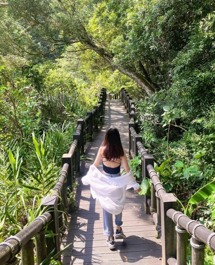 苗栗油桐花 蓬萊溪護魚步道,油桐花,油桐花季,全台油桐花,油桐花景點,北部油桐花,中部油桐花,苗栗油桐花,南部油桐花,東部油桐花,台北油桐花,桃園油桐花,新竹油桐花,南投油桐花,嘉義油桐花,台中油桐花,彰化油桐花,雲林油桐花,台南油桐花,台東油桐花,花蓮油桐花,宜蘭油桐花,苗栗油桐花,苗栗桐花,頭份油桐花,三灣油桐花,南庄油桐花,造橋油桐花,頭屋油桐花,獅潭油桐花,公館油桐花,三義油桐花,銅鑼油桐花