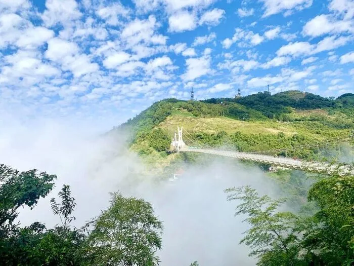 太平雲梯全長281公尺、在海拔約1000公尺的山中，是全台灣最長、海拔最高的吊橋。地利上的優勢加上不同節氣的變化，讓太平雲梯不管是春夏秋冬，晴天雨天，都有屬於自己美麗的風景。晴天時，從太平雲梯可以看見整片嘉南平原、甚至台灣海峽也可以一鏡到底。 到了冬天時，阿里山最有名的雲海與雲瀑，這裡就是最壯闊驚人的觀景點。山上的氣候變化多端，遇到多雲與水氣豐沛的天氣時，也可以體驗被薄霧包圍的仙氣感。