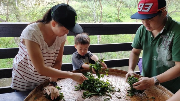 【南投茶香一日遊】從茶園到茶席的深度體驗，悠遊山林、品味茶香 南投茶葉產業歷史悠久且品質卓越，是台灣重要的茶葉生產地之一。南投茶葉因地勢與氣候的得天獨厚，造就了茶葉風味的多樣性，不論是清香高雅的烏龍茶、還是濃郁飽滿的紅茶，南投優質的茶葉深受茶客的青睞。每年一度的南投茶業博覽會更是吸引來自各地的茶葉愛好者，展出當地優質茶品，並透過一系列活動讓民眾親身感受南投茶業的獨特魅力。除了茶業博覽會外，南投還設有多個茶文化相關的休閒農業區，讓民眾不僅能欣賞美景，還能親自參與豐富的農遊體驗，遊客可以動手製作茶球、體驗揉茶過程，甚至品嚐不同茶葉的香氣與風味。無論是想要了解茶葉製作的奧妙，還是單純享受與大自然的親密接觸，歡迎大家親臨這片茶香四溢的山林，體驗南投的茶文化與農業風情。