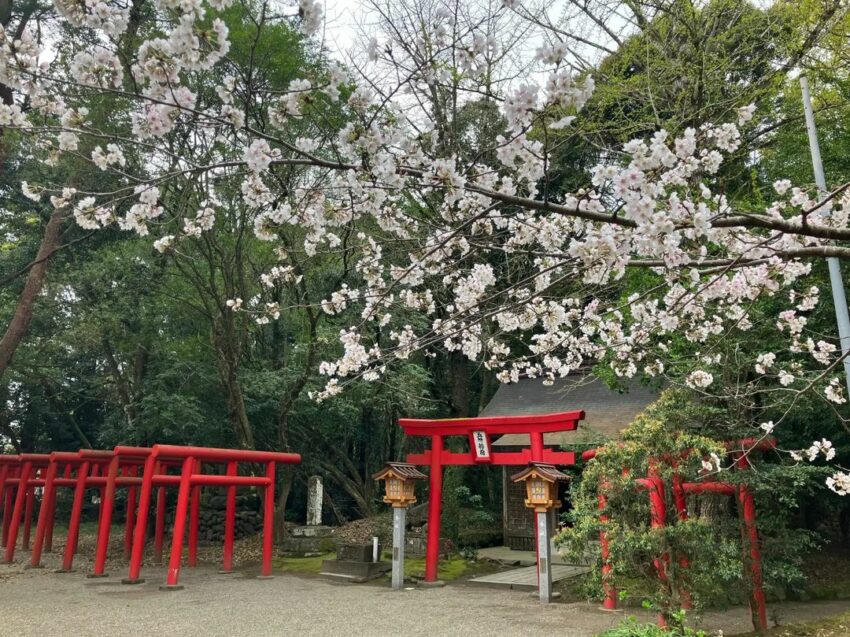 宮崎神宮、宮崎自由行、宮崎旅遊、宮崎景點、九州 宮崎、宮崎一日遊、宮崎美食、宮崎住宿、宮崎自駕、宮崎租車、宮崎交通、宮崎必買、jr九州宮崎酒店、dormy inn宮崎天然溫泉飯店、九州宮崎景點、九州宮崎牛、博多到宮崎、博多去宮崎、宫崎景點、宮崎名產、宮崎峽、宮崎巴士、宮崎市景點、宮崎摩艾、宮崎景點地圖、宮崎牛餐廳、宮崎肉本、宮崎自駕遊、宮崎行程、宮崎觀光