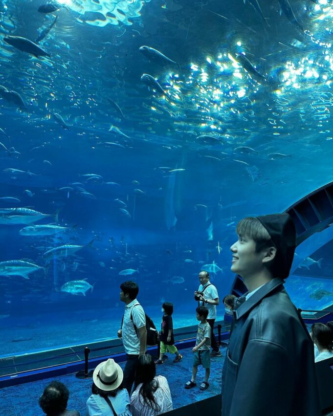 沖繩景點、沖繩必去、美麗海水族館