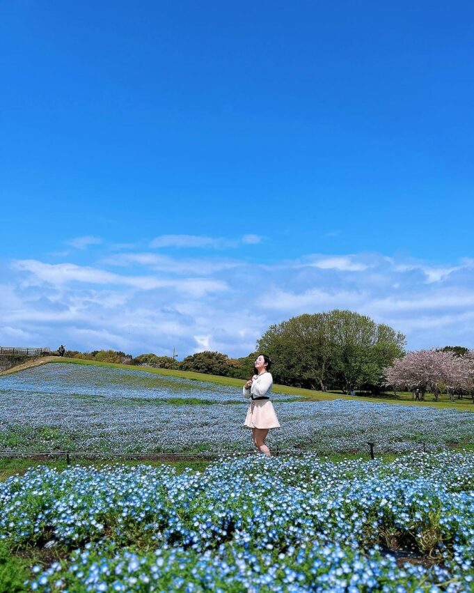 【福岡景點推薦】精選20個日本福岡一日遊必去景點，福岡旅遊就看這篇！