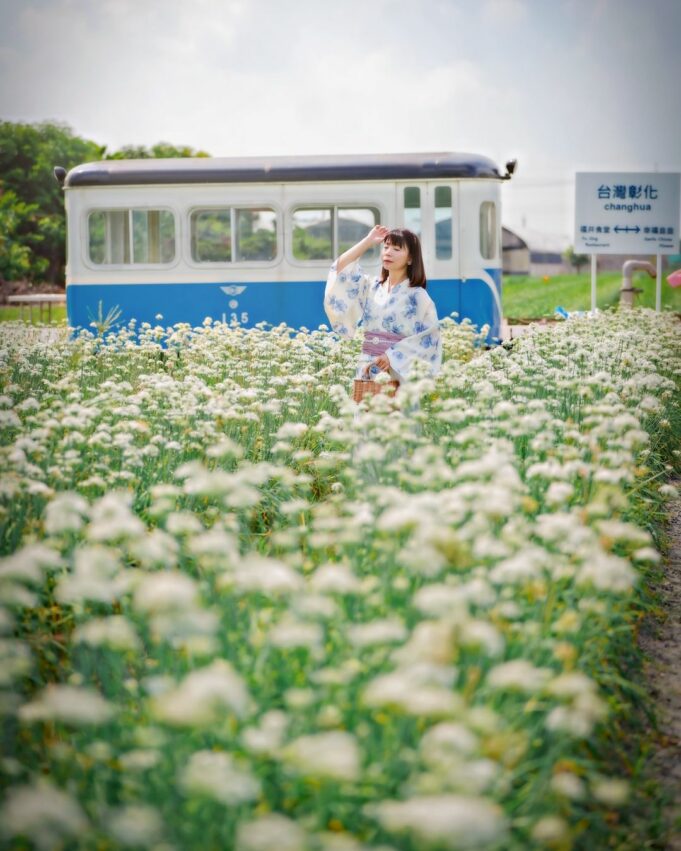 彰化縣田尾鄉, 幸福韭韭, 田尾景點, 彰化景點, 彰化賞花景點