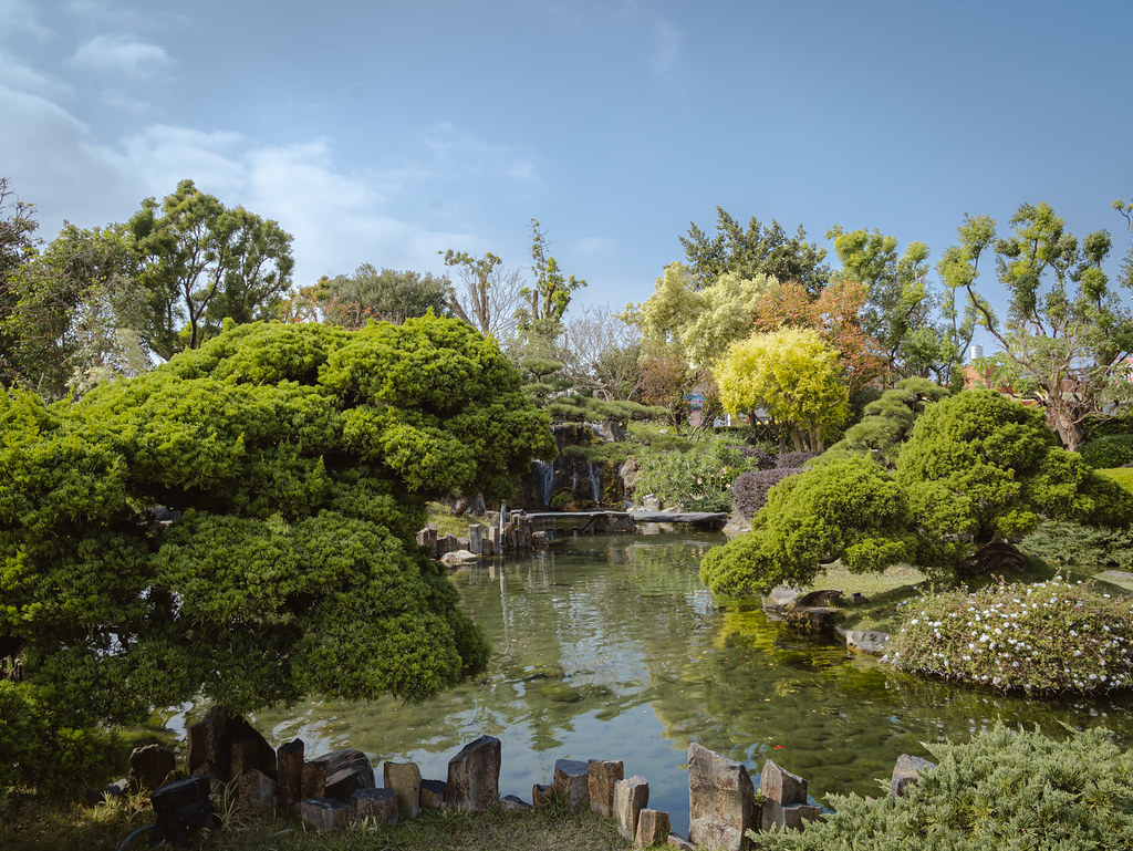 彰化景點》成美文化園｜百米落羽松步道超夢幻！油紙傘天空步道、